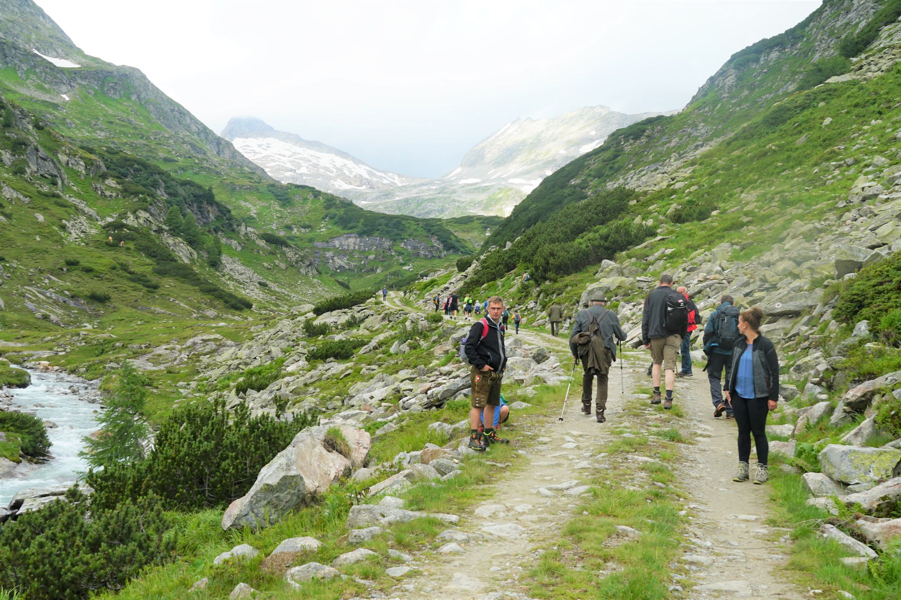 Landesalmwandertag auf der Elendalm © kk