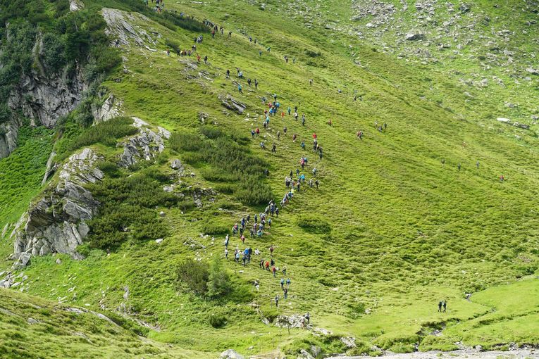 Landesalmwandertag auf der Elendalm © kk