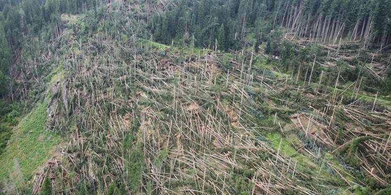 Waldschäden nach Unwetter