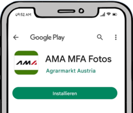 AMA App.png AMA App.png