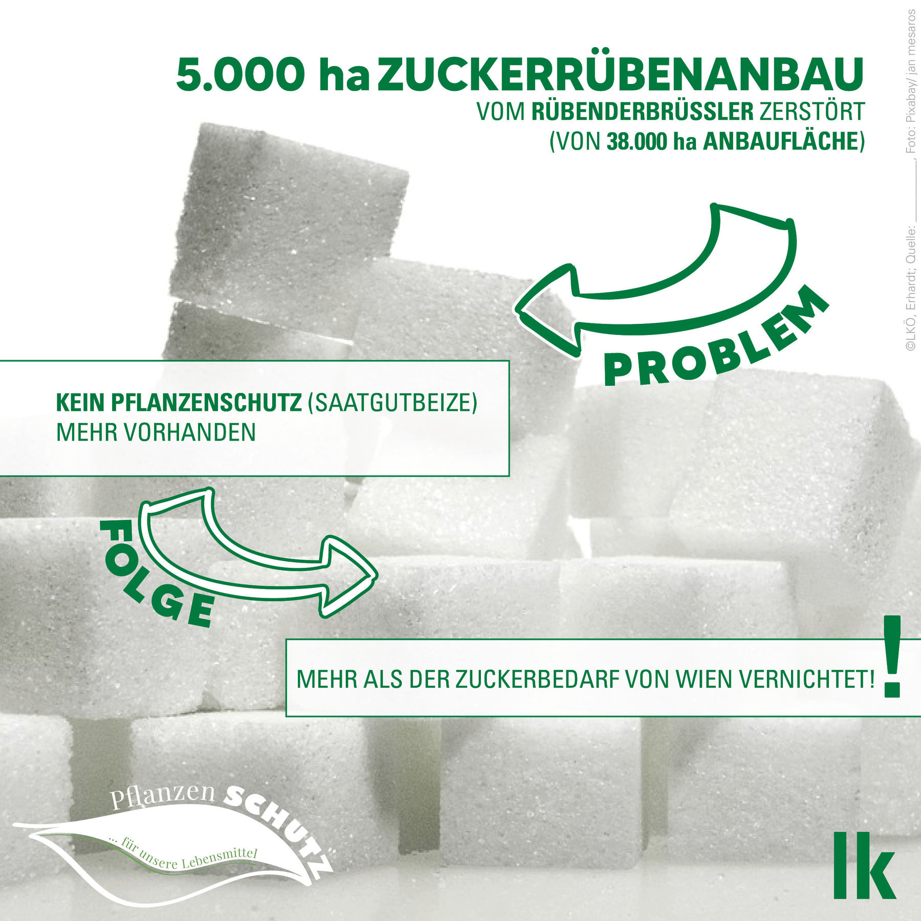 Zucker_grafik_01.jpg © LK Österreich