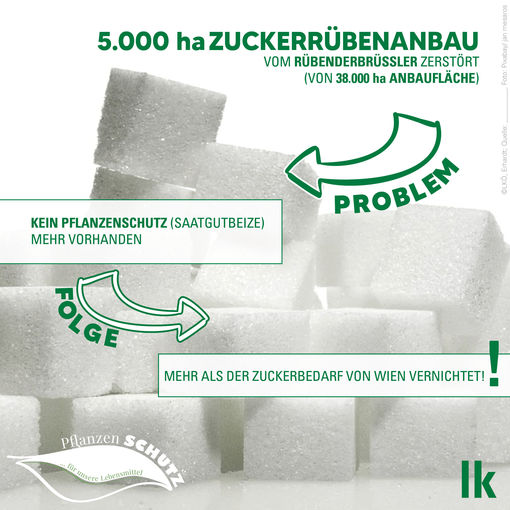 Zucker_grafik_01.jpg © LK Österreich