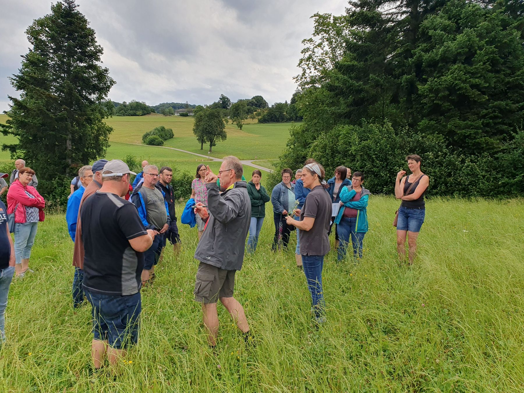 Grünlandbegehung_Texing_(c)BBK/Neuhauser.jpg © BBK Melk/Neuhauser Grünlandbegehung_Texing_(c)BBK/Neuhauser.jpg © BBK Melk/Neuhauser