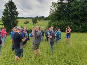 Grünlandbegehung_Texing_(c)BBK/Neuhauser.jpg © BBK Melk/Neuhauser Grünlandbegehung_Texing_(c)BBK/Neuhauser.jpg © BBK Melk/Neuhauser