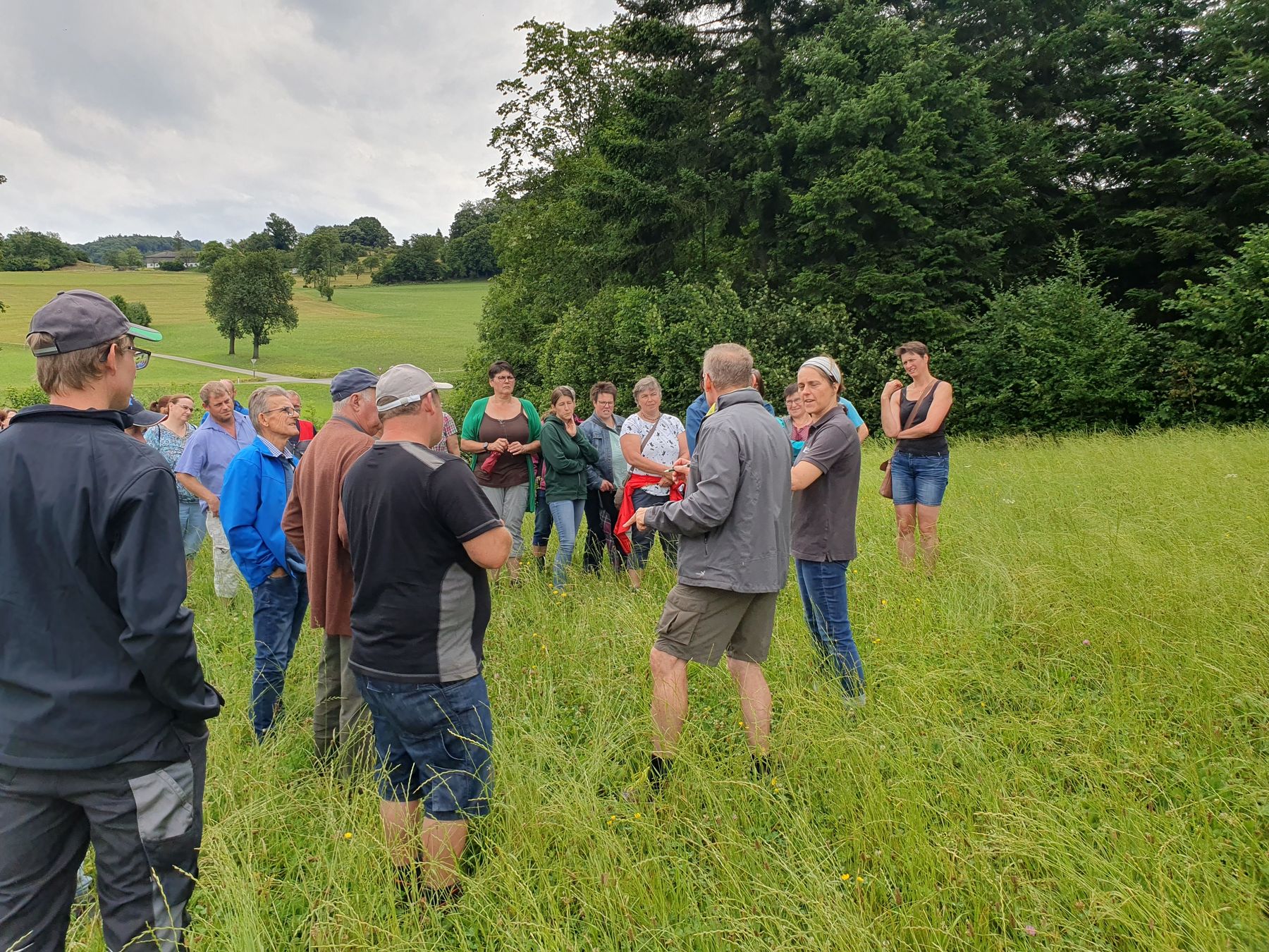 Grünlandbegehung_Texing (2)_(c)BBK/Neuhauser.jpg © BBK Melk/Neuhauser Grünlandbegehung_Texing (2)_(c)BBK/Neuhauser.jpg © BBK Melk/Neuhauser