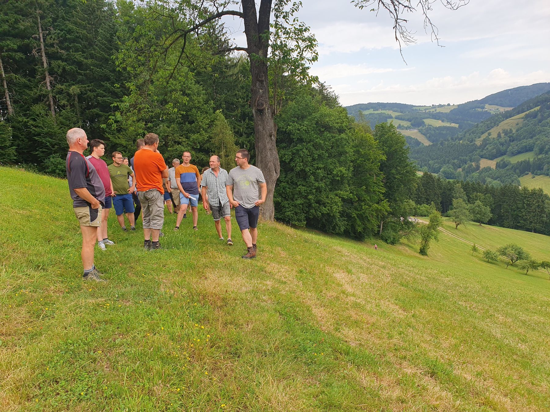 Grünlandbegehung_Wang4_(c)BBK/Neuhauser.jpg © BBK Melk/Neuhauser Grünlandbegehung_Wang4_(c)BBK/Neuhauser.jpg © BBK Melk/Neuhauser