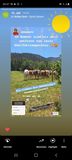 Challange der Landwirtschaftskammer Niederösterreich © LK Niederösterreich