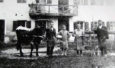 Jägerstättter, Kuh.jpg © Archiv Jägerstättter, Kuh.jpg © Archiv