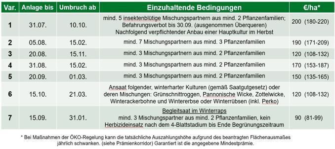 Zwischenfruchtbegrünung.jpg © LK NÖ