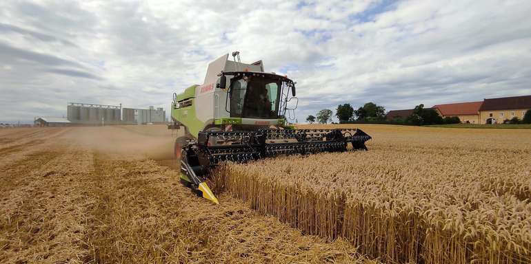 Weizenernte.jpg © Landwirtschaftskammer Oberösterreich/Feitzlmayr Weizenernte.jpg © Landwirtschaftskammer Oberösterreich/Feitzlmayr
