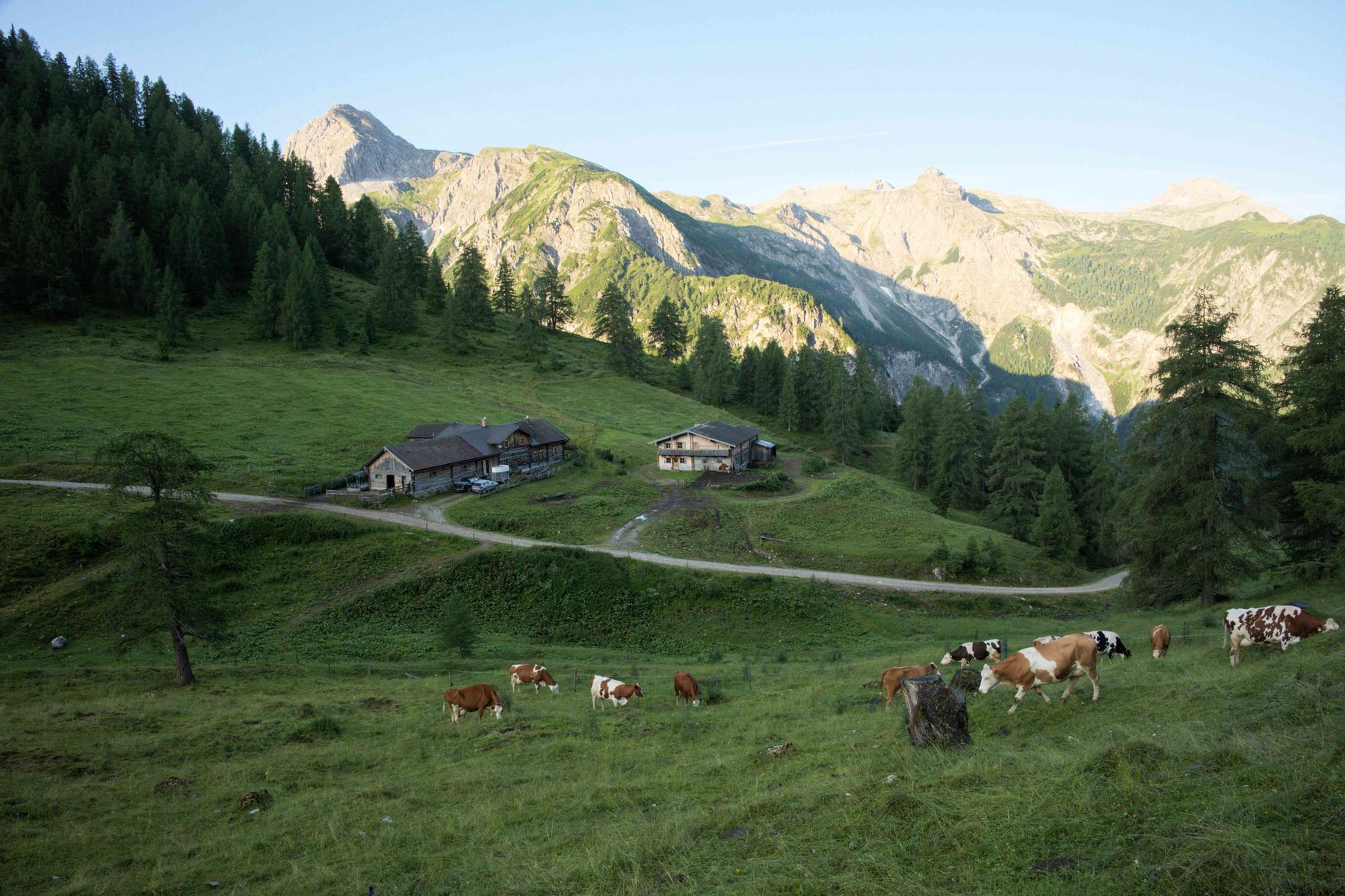 Hafeichtenalm.jpg © Mooslechner Hafeichtenalm.jpg © Mooslechner