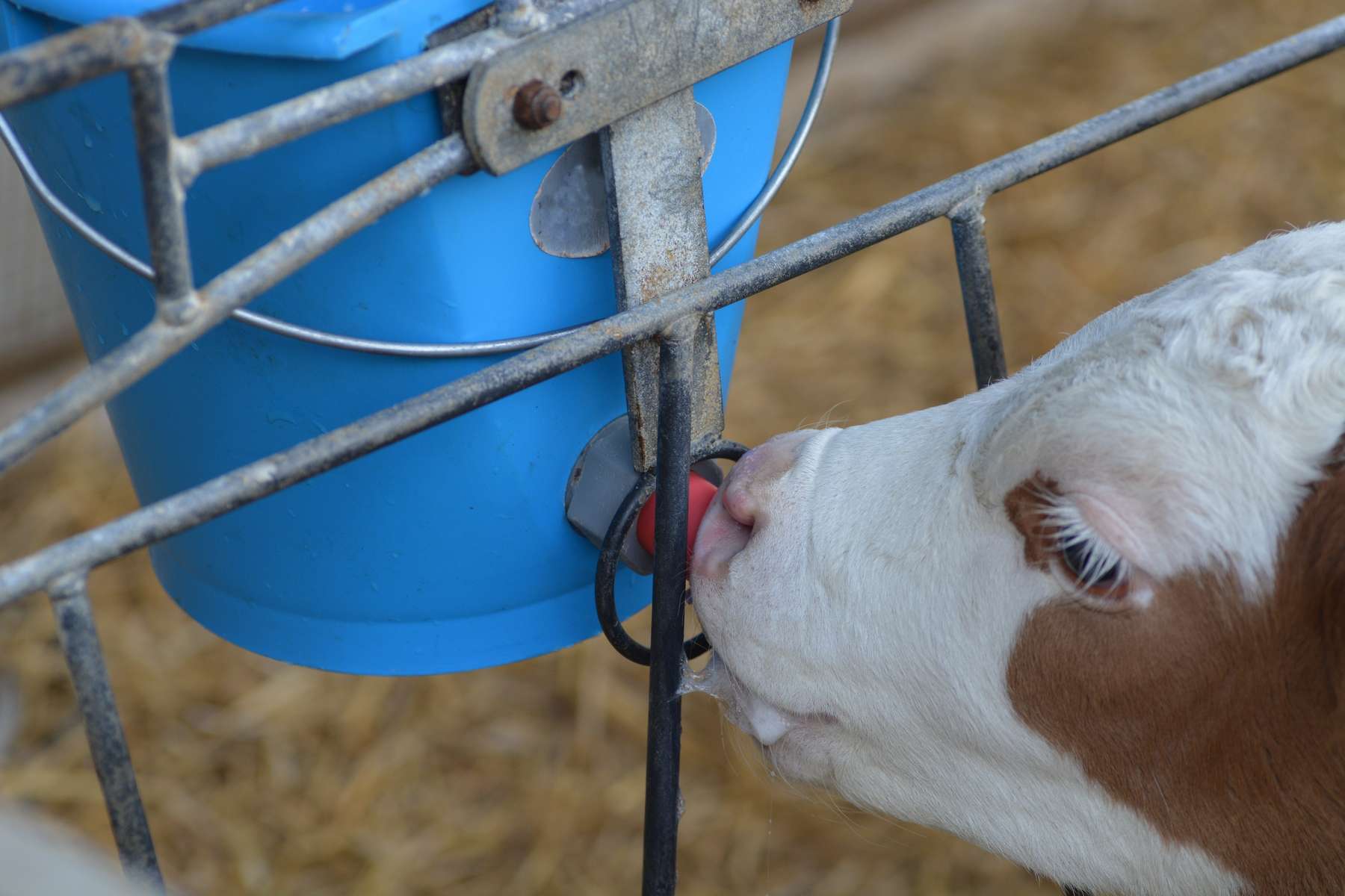 Bild2_Adobe Stock.jpg © Adobe Stock Bild2_Adobe Stock.jpg © Adobe Stock