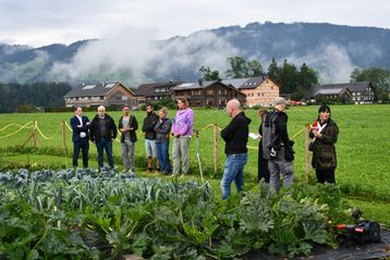 Vorarlberger Gemüseanbau legt zu