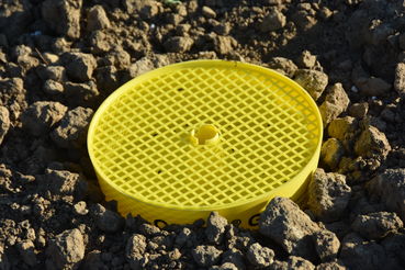 Zu einer besseren Fängigkeit sollen Gelbschalen eingegraben werden.jpg © LK OÖ/Köppl Zu einer besseren Fängigkeit sollen Gelbschalen eingegraben werden.jpg © LK OÖ/Köppl