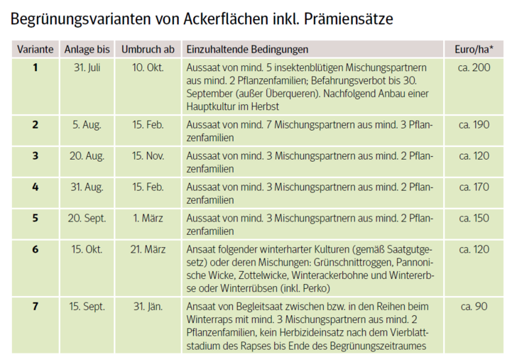 Übersicht_Begrünungsvarianten Zwischenfruchtsanbau.png © Archiv