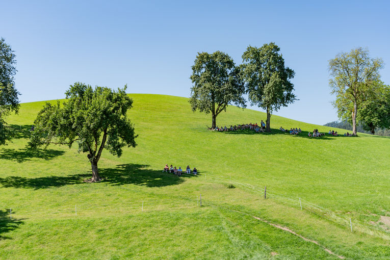 © Georg Pomassl/LK Niederösterreich