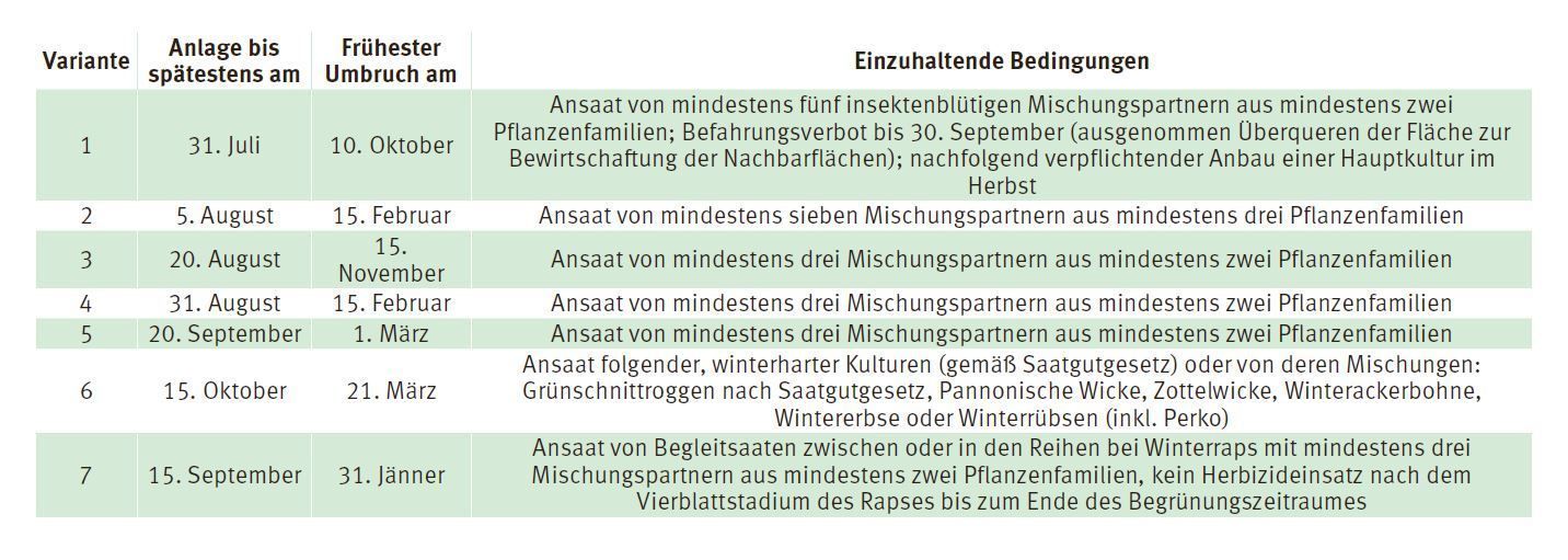 Zwischenfruchtanbau: Beantragung nicht vergessen.jpg © LK Kärnten