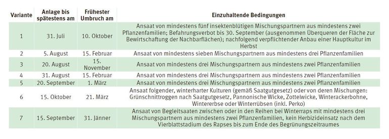 Zwischenfruchtanbau: Beantragung nicht vergessen.jpg © LK Kärnten