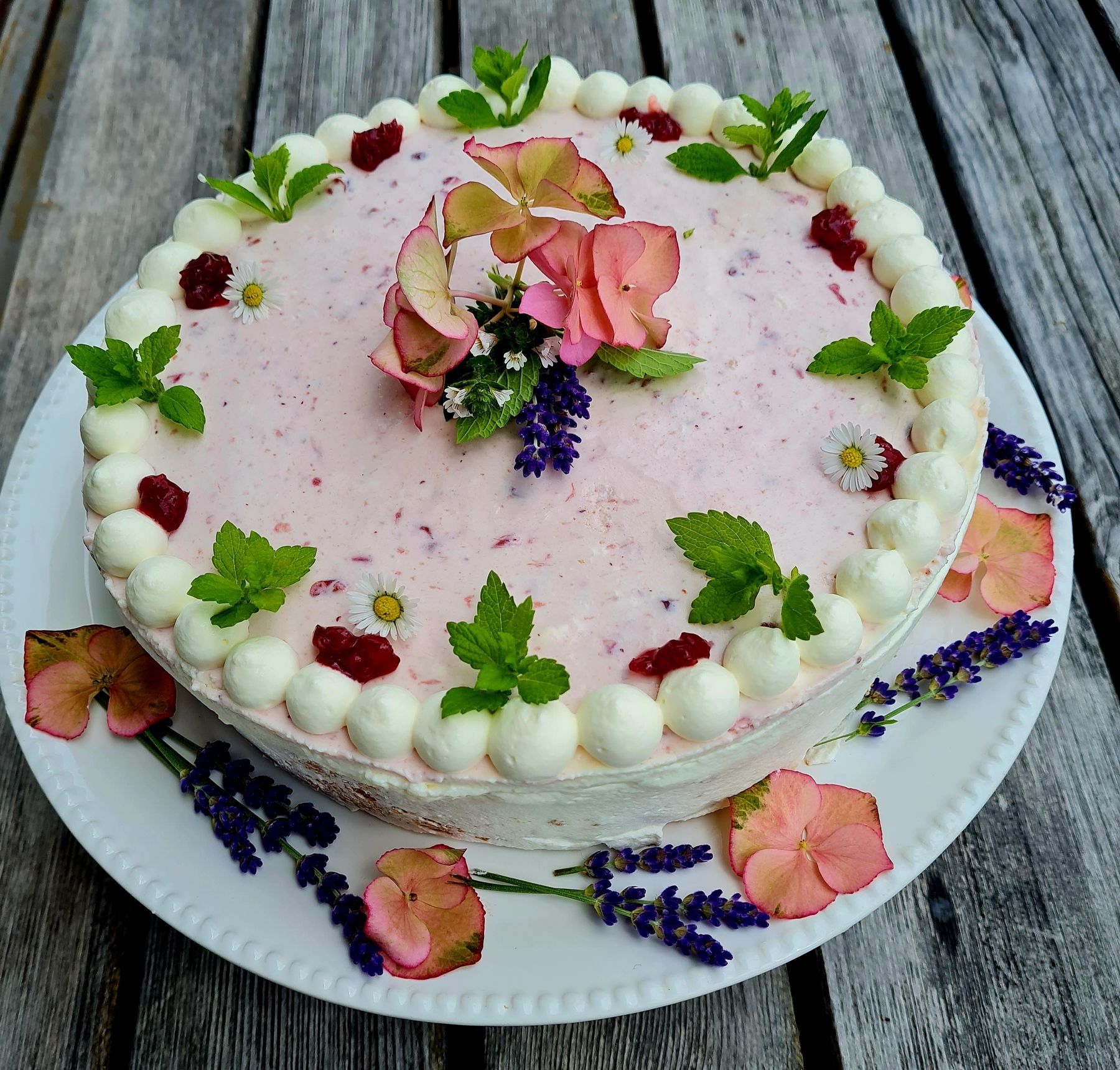 Preiselbeertorte.jpg © Schilchegger Preiselbeertorte.jpg © Schilchegger