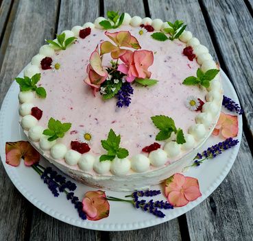 Preiselbeertorte.jpg © Schilchegger Preiselbeertorte.jpg © Schilchegger