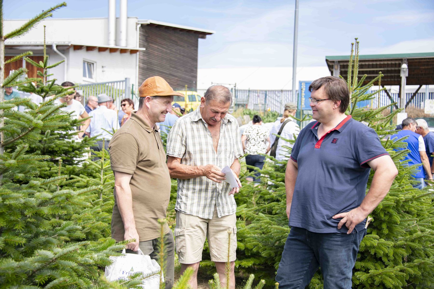 © Eva Lechner/weihnachtsbaum.at © Eva Lechner/weihnachtsbaum.at