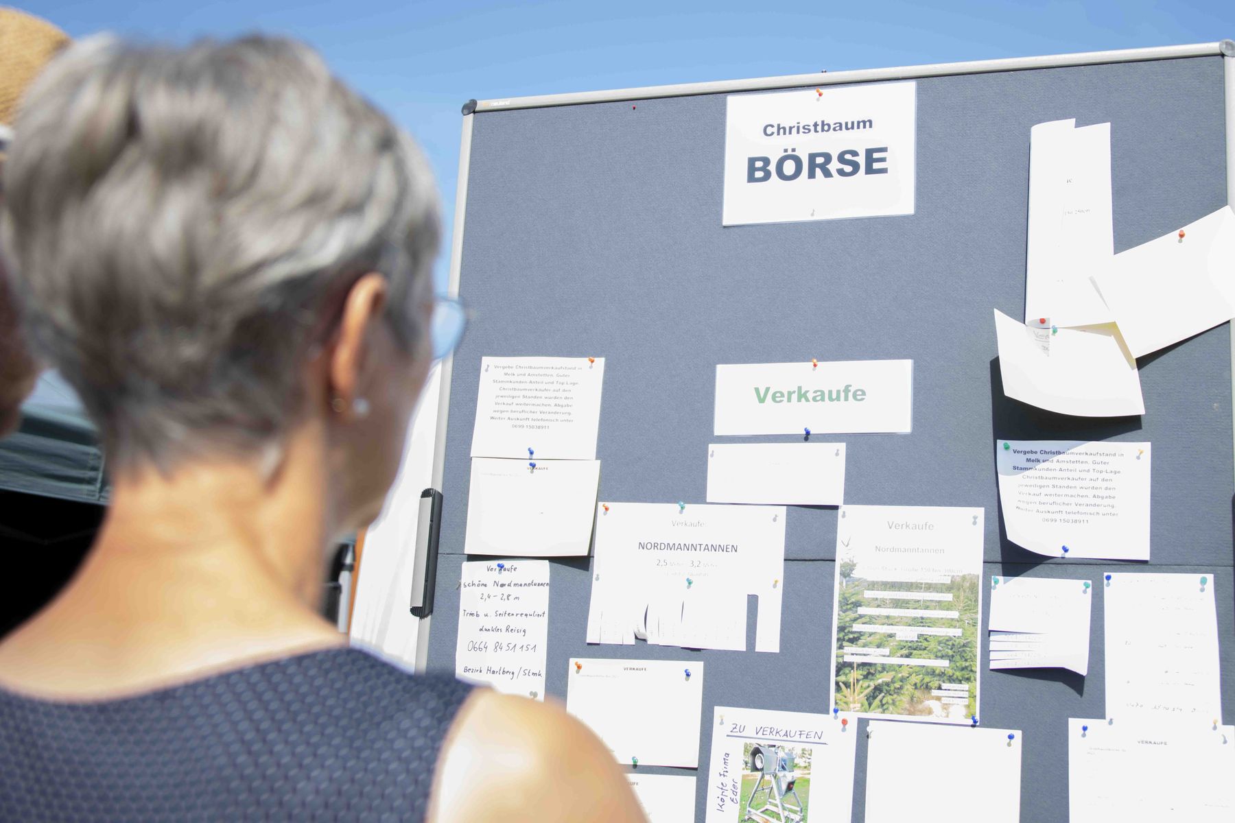 © Eva Lechner/weihnachtsbaum.at © Eva Lechner/weihnachtsbaum.at