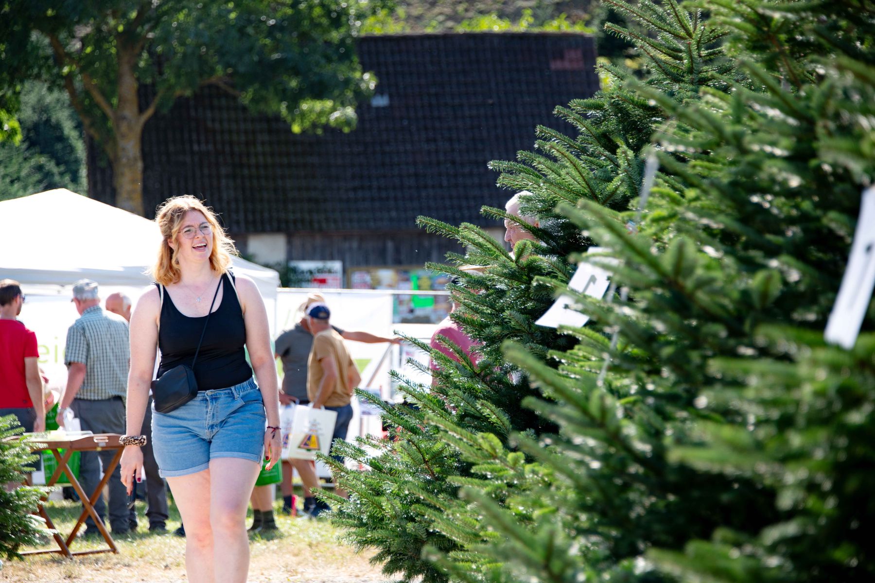 © Eva Lechner/weihnachtsbaum.at © Eva Lechner/weihnachtsbaum.at