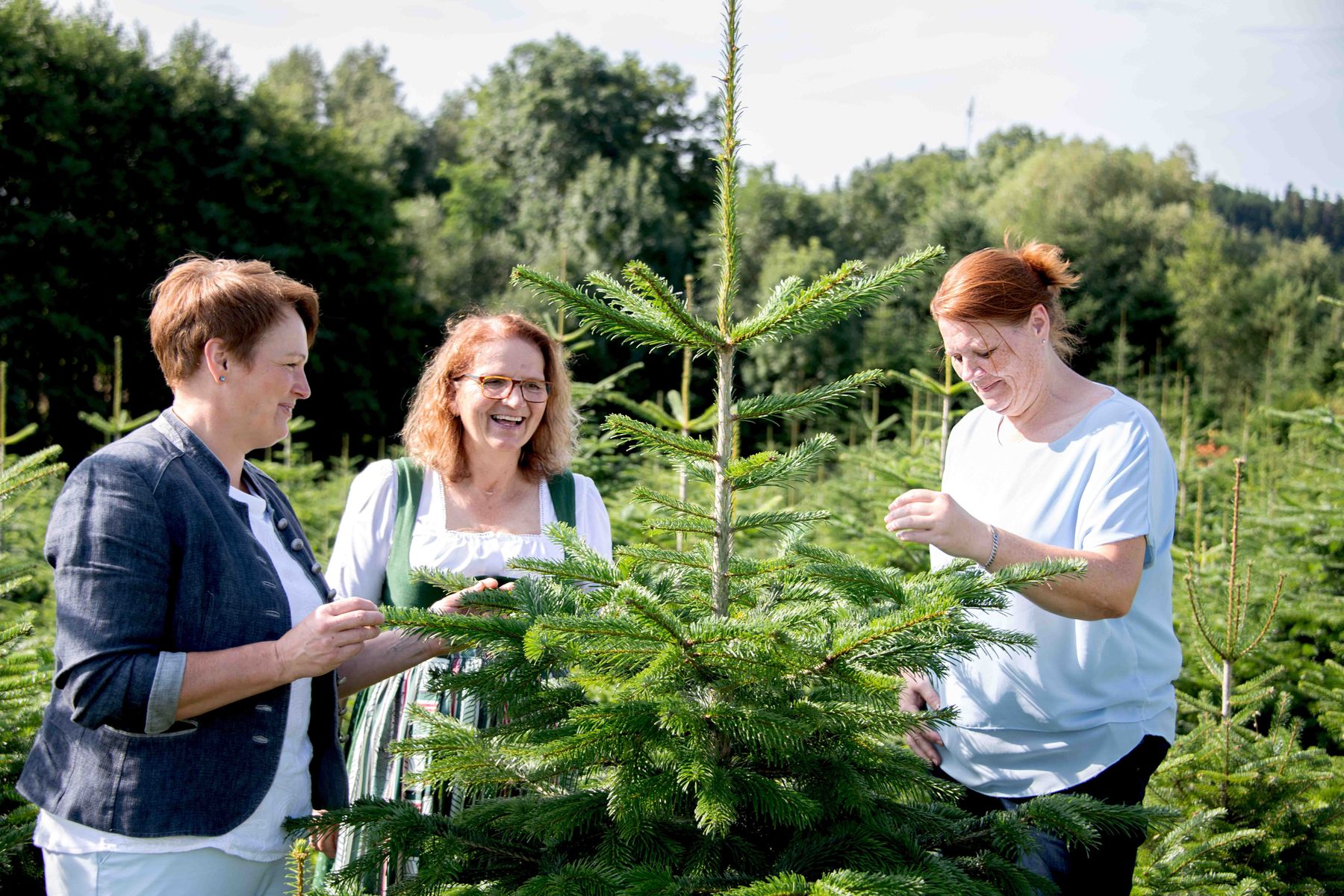© Eva Lechner/weihnachtsbaum.at © Eva Lechner/weihnachtsbaum.at