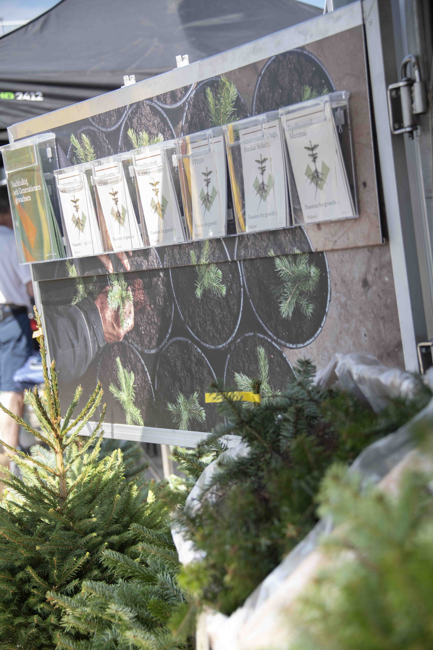 © Eva Lechner/weihnachtsbaum.at © Eva Lechner/weihnachtsbaum.at