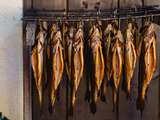 sb35_mt_fische.jpg © Dürnberger