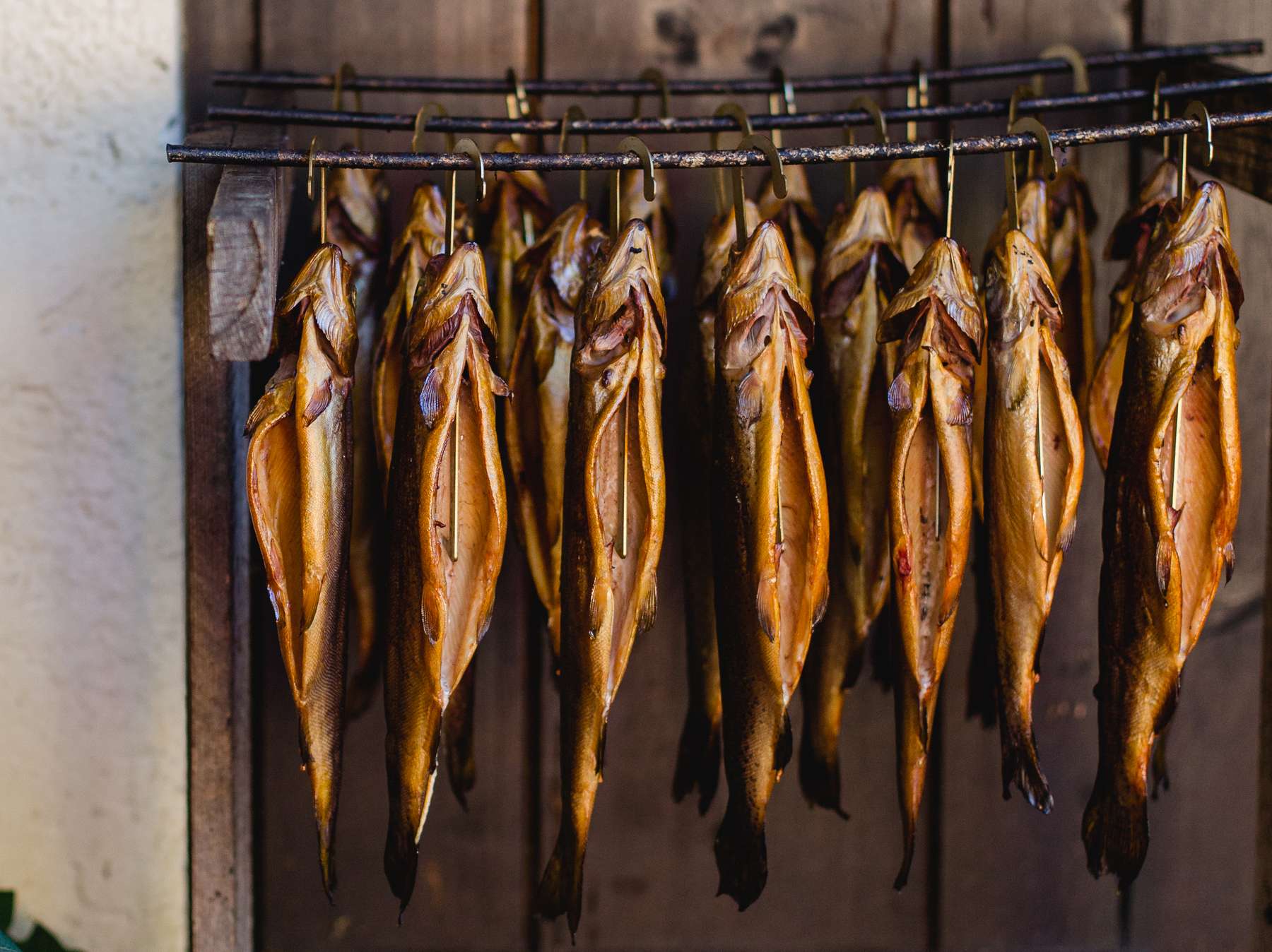 sb35_mt_fische.jpg © Dürnberger sb35_mt_fische.jpg © Dürnberger