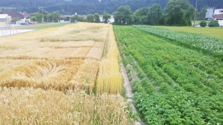 Parzellen_Imst_c_Land-Tirol.jpg © Land Tirol Parzellen_Imst_c_Land-Tirol.jpg © Land Tirol