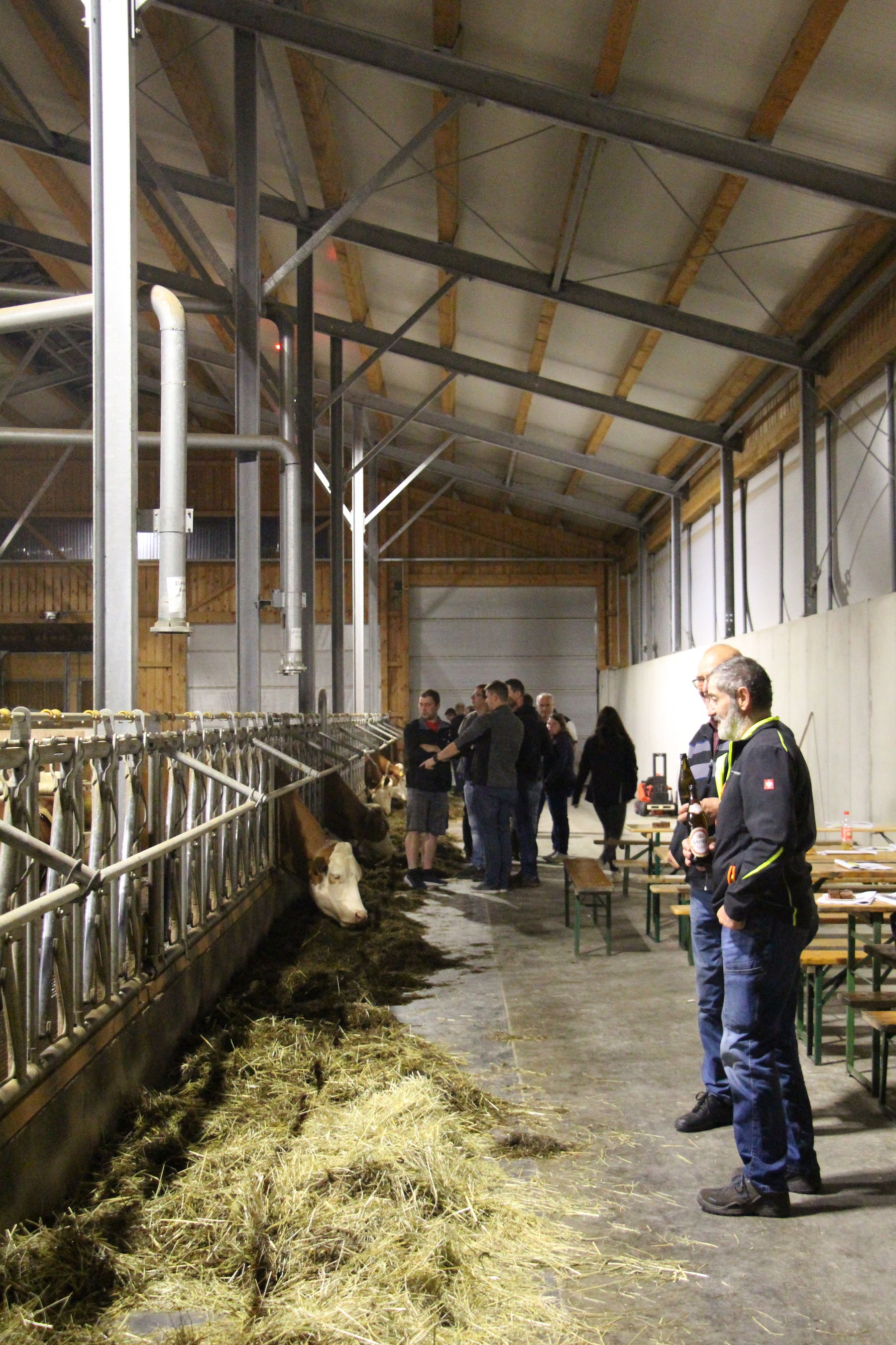 Stallabend_RZW_Pöggstall_IMG_4344.jpg © BBK Melk/Langeder Stallabend_RZW_Pöggstall_IMG_4344.jpg © BBK Melk/Langeder