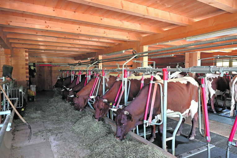 Mordau Stall.jpg © Mooslechner