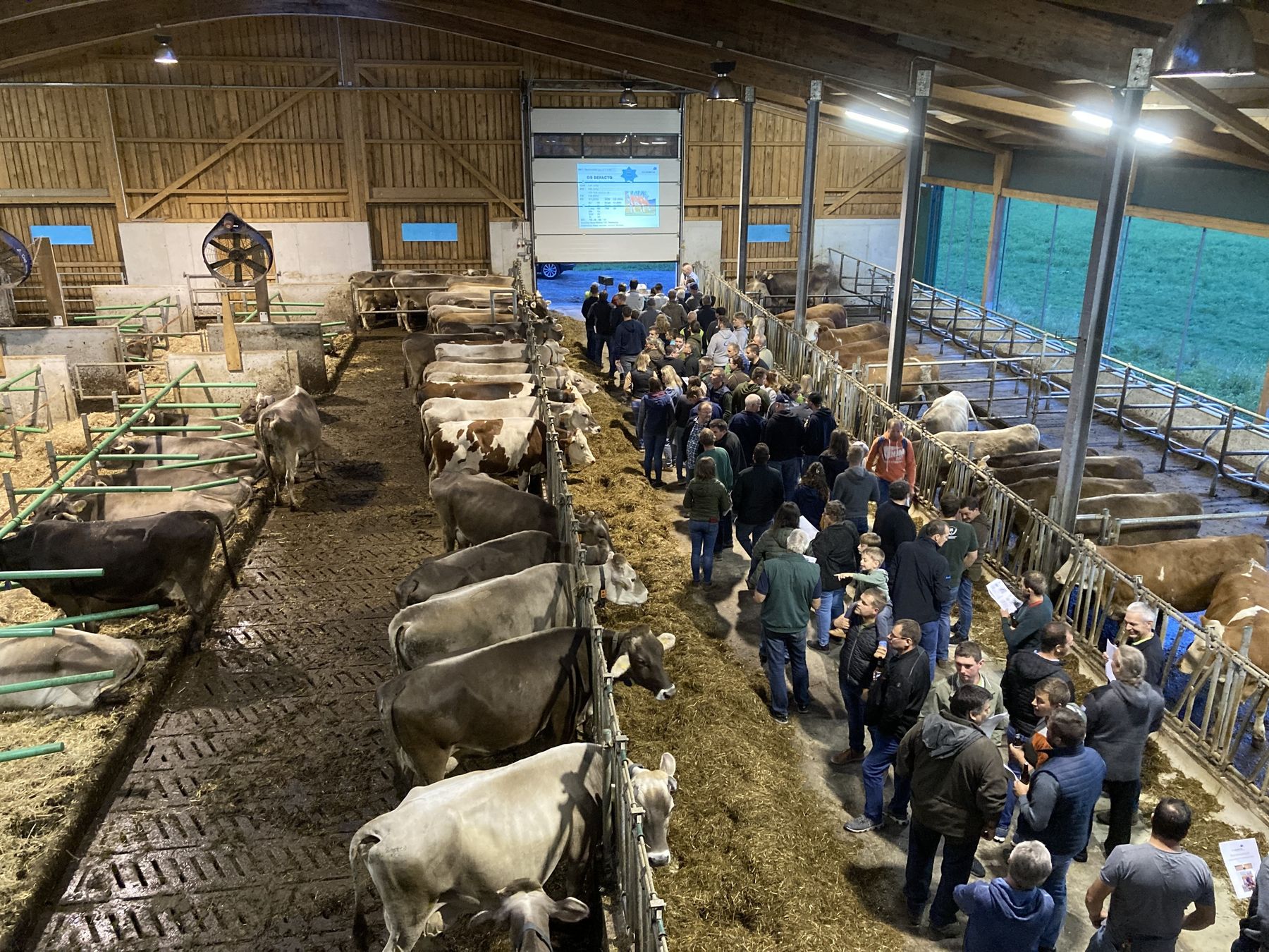 Stallabend_RZV_Mank_IMG_1173.jpg © BBK Melk/Langeder Stallabend_RZV_Mank_IMG_1173.jpg © BBK Melk/Langeder