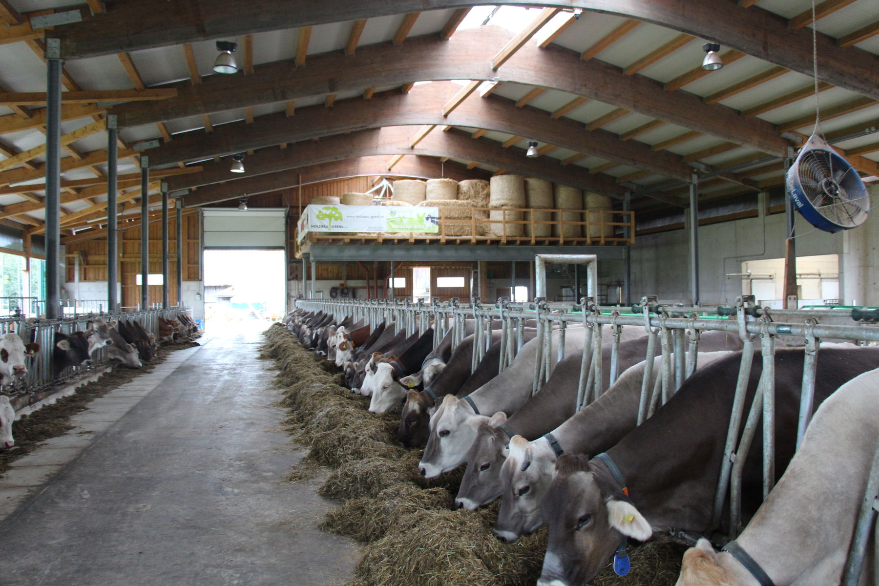 Stallabend_RZV_Mank_IMG_4364.jpg © BBK Melk/Langeder Stallabend_RZV_Mank_IMG_4364.jpg © BBK Melk/Langeder