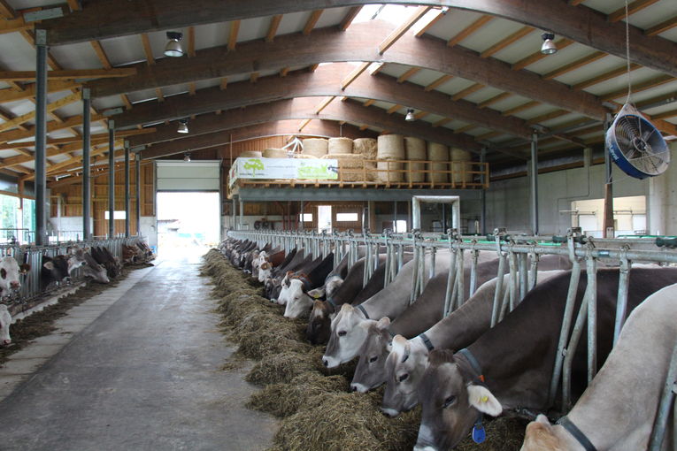 Stallabend_RZV_Mank_IMG_4364.jpg © BBK Melk/Langeder