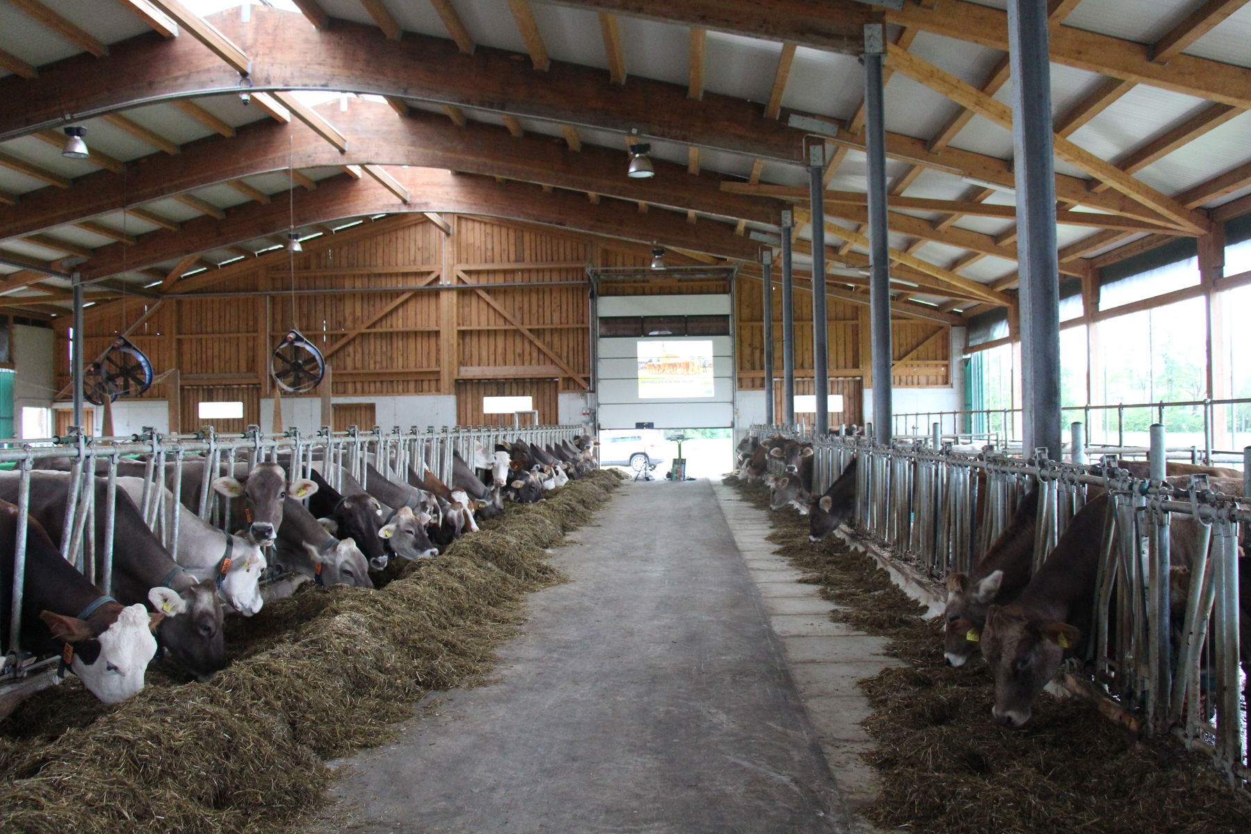 Stallabend_RZV_Mank_IMG_4372.jpg © BBK Melk/Langeder Stallabend_RZV_Mank_IMG_4372.jpg © BBK Melk/Langeder