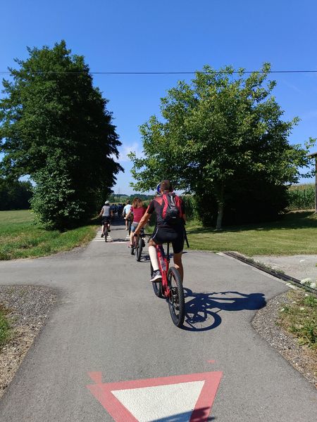 IMG 20230820 110116.jpg IMG 20230820 110116.jpg