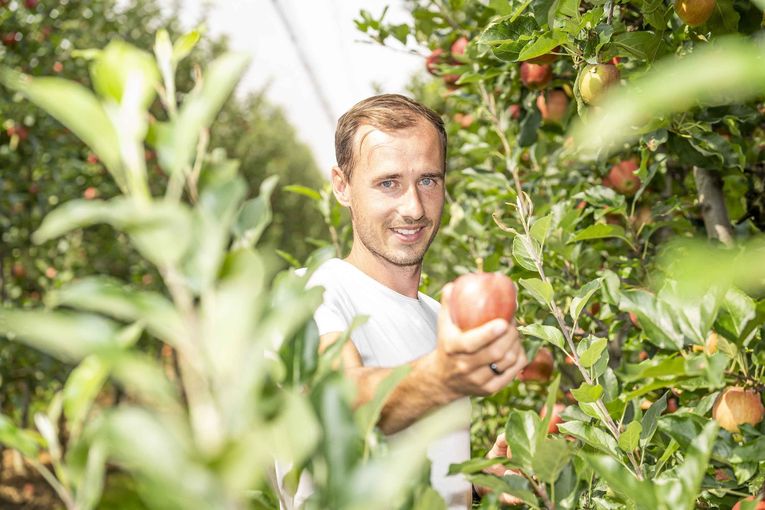 Obstbauer Martin Gschweitl © LK Steiermark/Foto Fischer