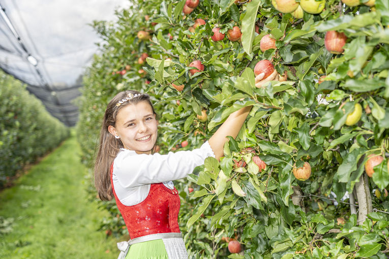 © LK Steiermark/Foto Fischer