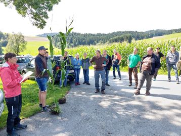 Feldtag des Biokompetenzzentrums Schlägl, Putzleinsdorf, 31.08.2023