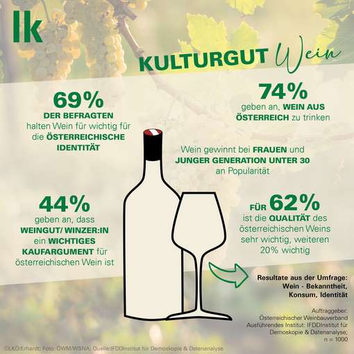 Grafik Umfrage zu Wein 2023