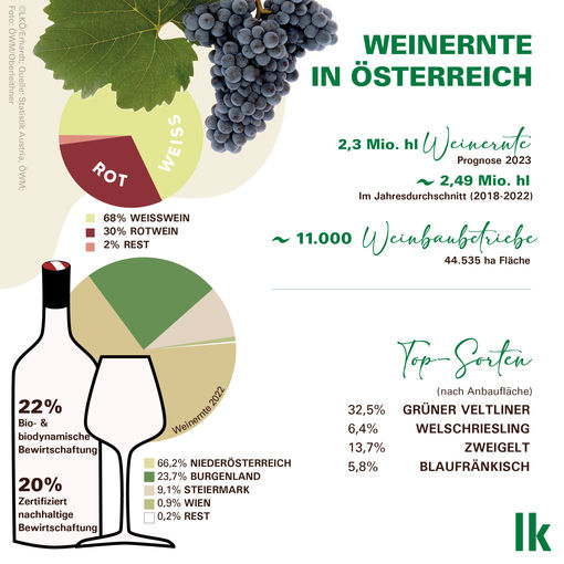 Grafik Wein in Österreich in Zahlen 2023