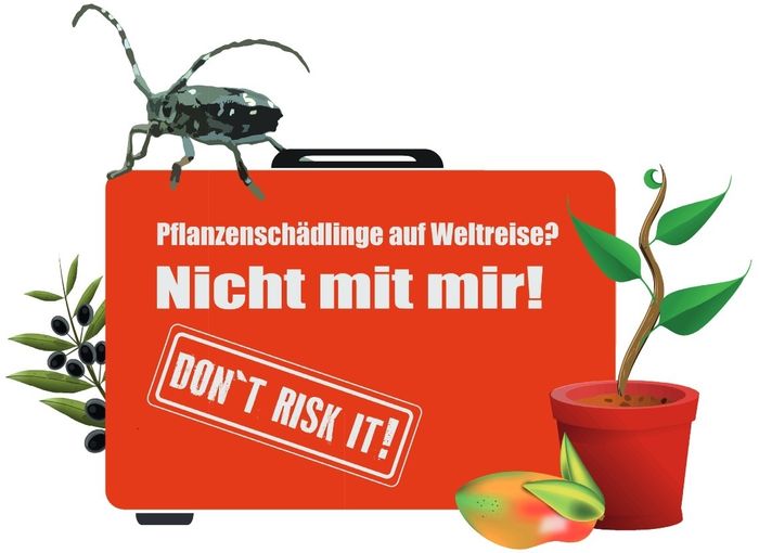 Bringen Sie kein Pflanzenmaterial von Ihren Reisen mit.jpg