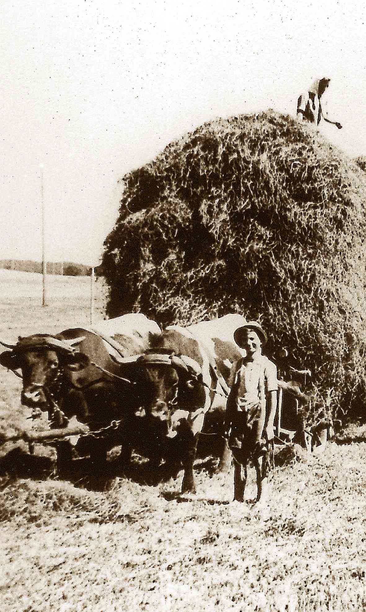 Kuchl58.jpg © Archiv Kuchl58.jpg © Archiv