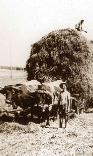 Kuchl58.jpg © Archiv Kuchl58.jpg © Archiv