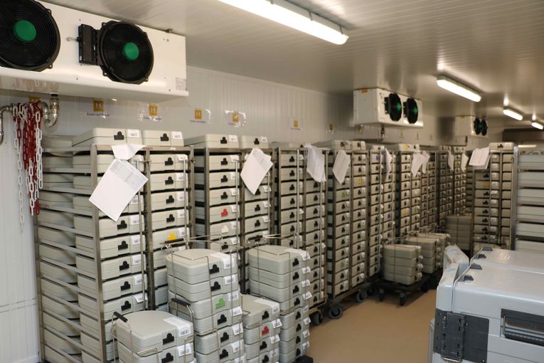 © Archiv © Archiv