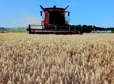  © Landwirtschaftskammer Oberösterreich/Kastenhuber