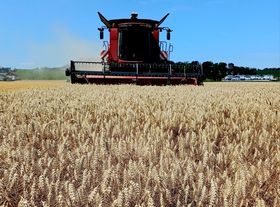  © Landwirtschaftskammer Oberösterreich/Kastenhuber